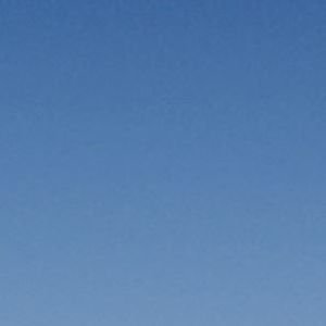 Meet your Posher, Jonah